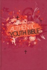 ERV Authentic Youth Bible, Red (pack of 5) - VPK